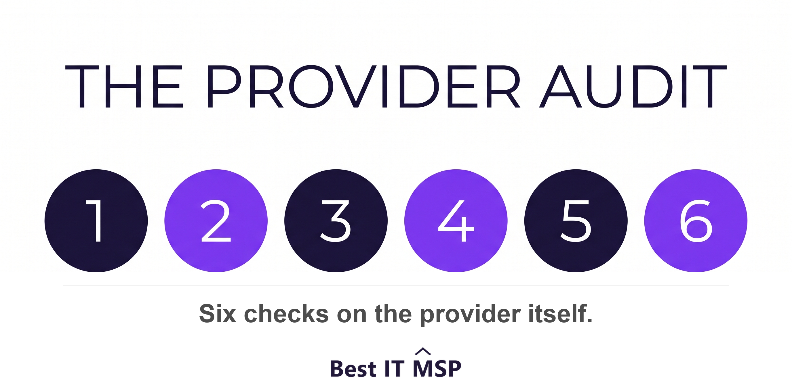 The six checks in an audit of a provider's own security