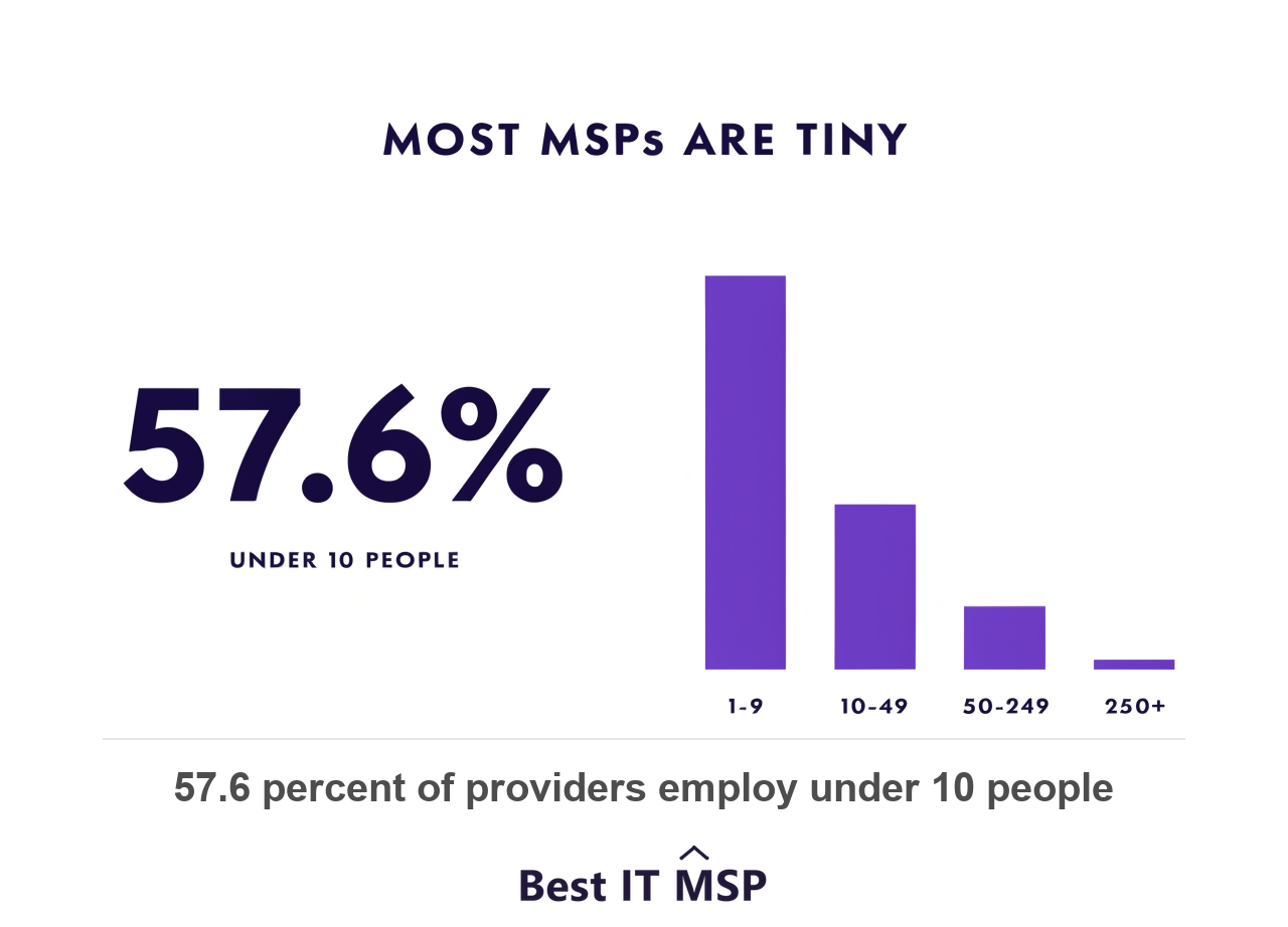 57.6 percent of managed IT providers employ fewer than ten people